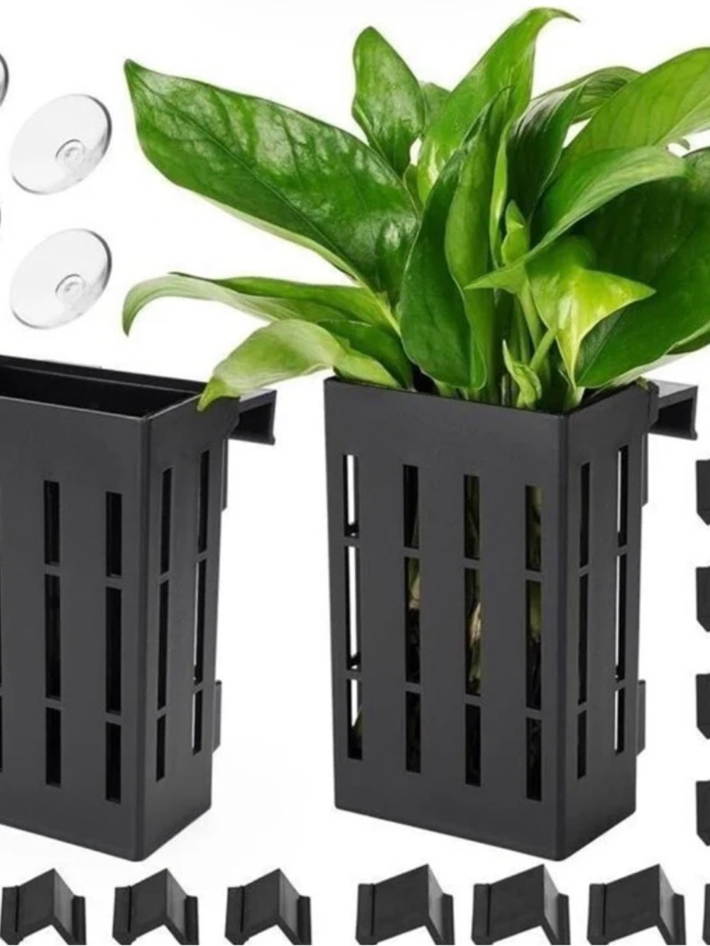 Black Vertical Aquatic Plant Pot with Suction Cup Mounts
